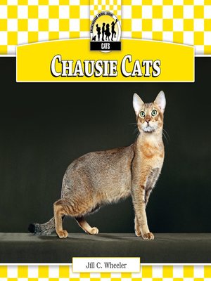 cover image of Chausie Cats